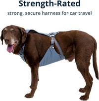 Ruffwear, Load Up Dog Car Harness - Slate Blue / XX-Small - image 2
