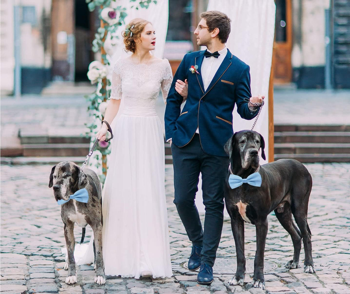 Formal Dog Bow Ties for Medium & Large Dogs – Essentials for Dogs - Light Blue - image 2