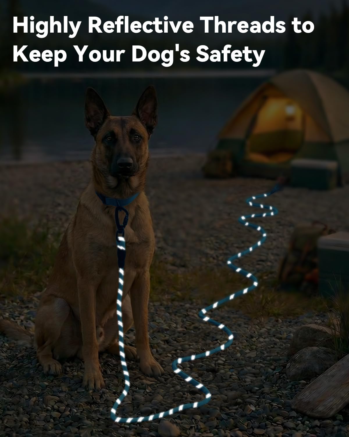 Joytale Long Dog Leash for Yard Tie Out & Recall Training - Blue / 50FT - image 4