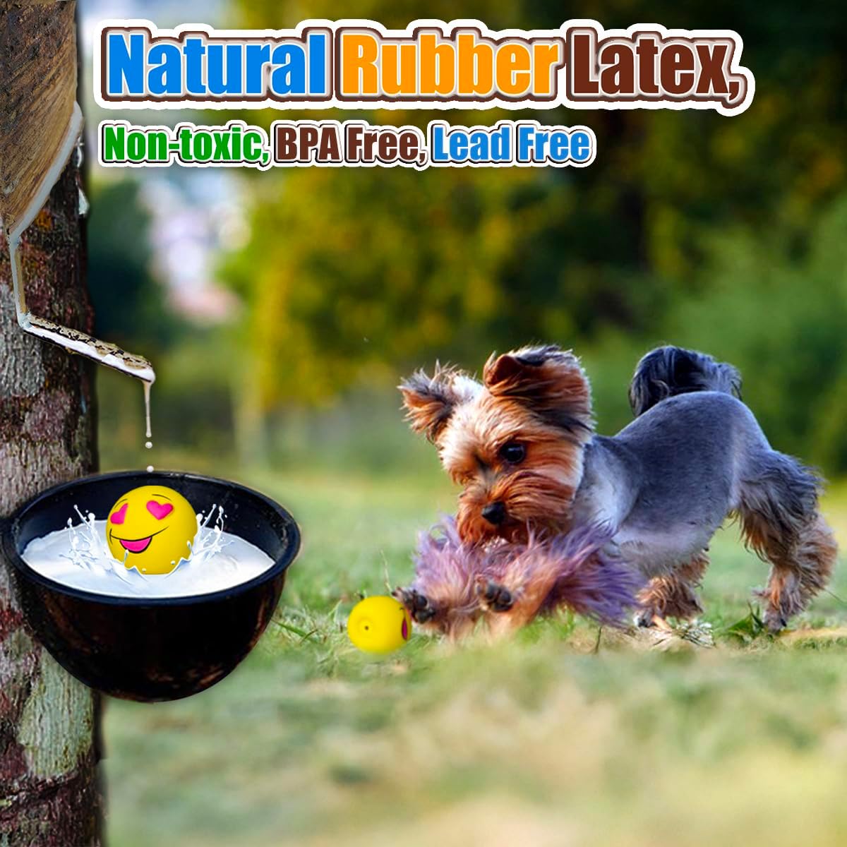 Latex Squeaky Dog Balls for Small Dogs, Mini Breed - XS/S Assorted Colors / Small - image 4