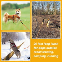 Vivifying Floating Long Dog Leash - 20ft / Orange - image 4