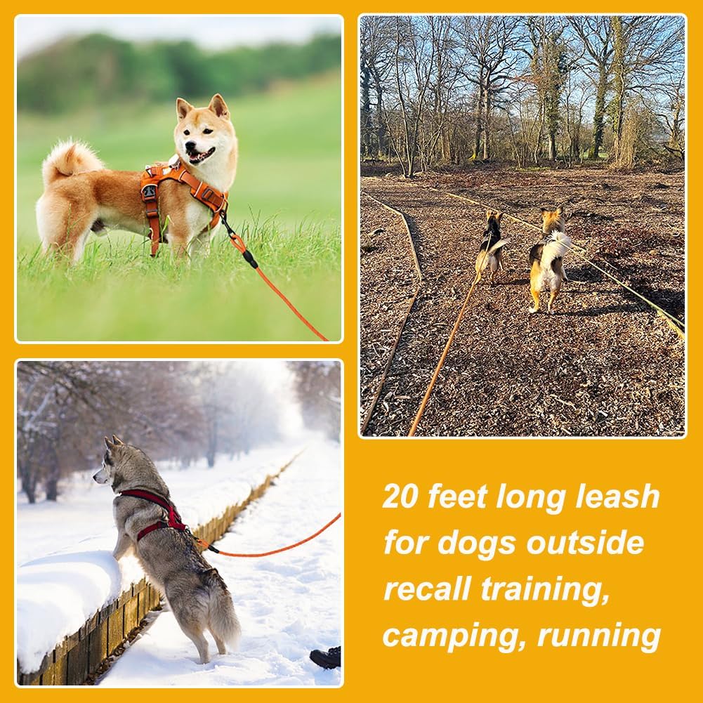 Vivifying Floating Long Dog Leash - 20ft / Orange - image 4