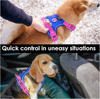 PHOEPET No Pull Dog Harness, Unique Colors Reflective Adjustable Dog Vest, with Soft Training Handle Metal Clips for Small Medium Large Dogs (Royal Blue Base & Pink Straps,M)
