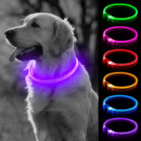 Light Up Dog Collar – Essentials for Dogs - Purple (70cm)
