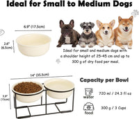 Ceramic Elevated Dog Bowls with Stand - Beige / L × 2 - image 2