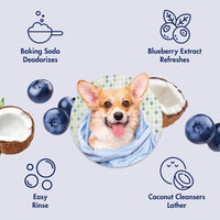 Arm & Hammer Deodorizing Dog Shampoo - Blueberry Coconut / 20 Fl Oz (Pack of 1) - image 4