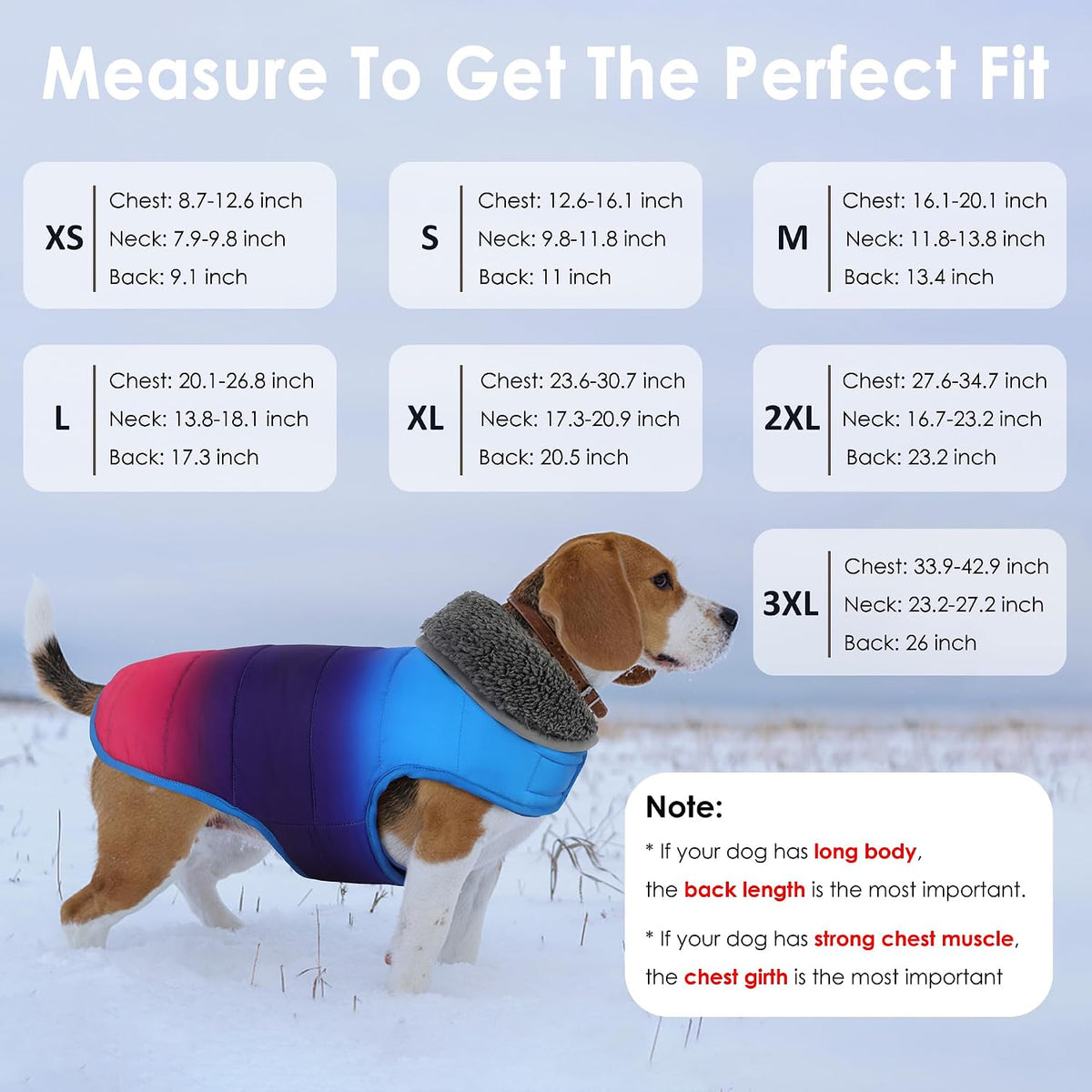 Waterproof Dog Winter Coat - Gradient Blue / 2XL(Chest Girth:27.6-34.7") - image 2