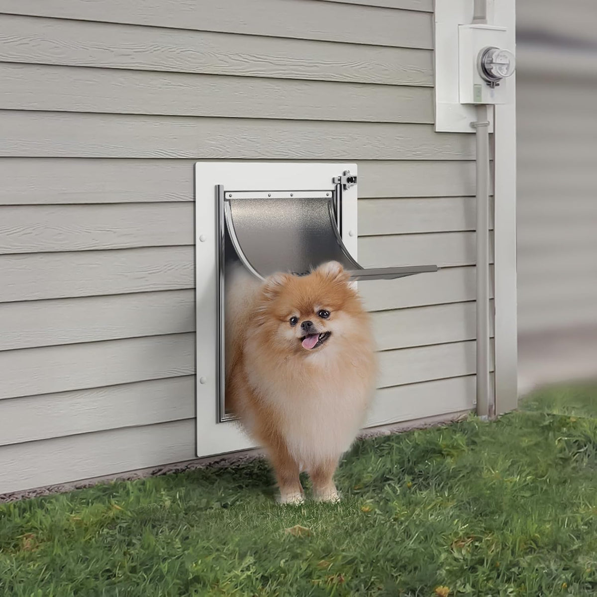 Baboni Pet Door for Wall, 3-Flap - 2-Flap(Metal Frame,Aluminum Lock) / Medium - image 2