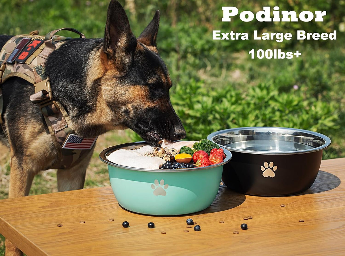 Large Dog Water Bowl 2 Pack, Aqua - Silver - 2 Pack / 1.3 Gallons - XL (100lb + breed) - image 2