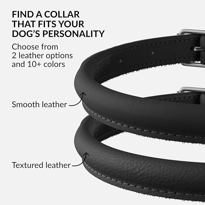 CollarDirect Rolled Leather Dog Collar, Soft Padded Round Puppy Collar, Handmade Genuine Leather Collar Dog Small Large Cat Collars 13 Colors (15-19 Inch, Black Smooth)
