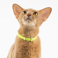 Safety Cat Collar - U.S. IDA Gold Awarding Design, Stretch Elastic Quick Release, Non Breakaway - Light Weight for Kitten, Neck Fit 5.9'-11.8' for All Small Large Cat,S(Midnight Black)