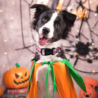 ARING PET Halloween Dog Collar-Cute Fall Dog Collar for Small Dogs - X-Small / Halloween Pink Party - image 3