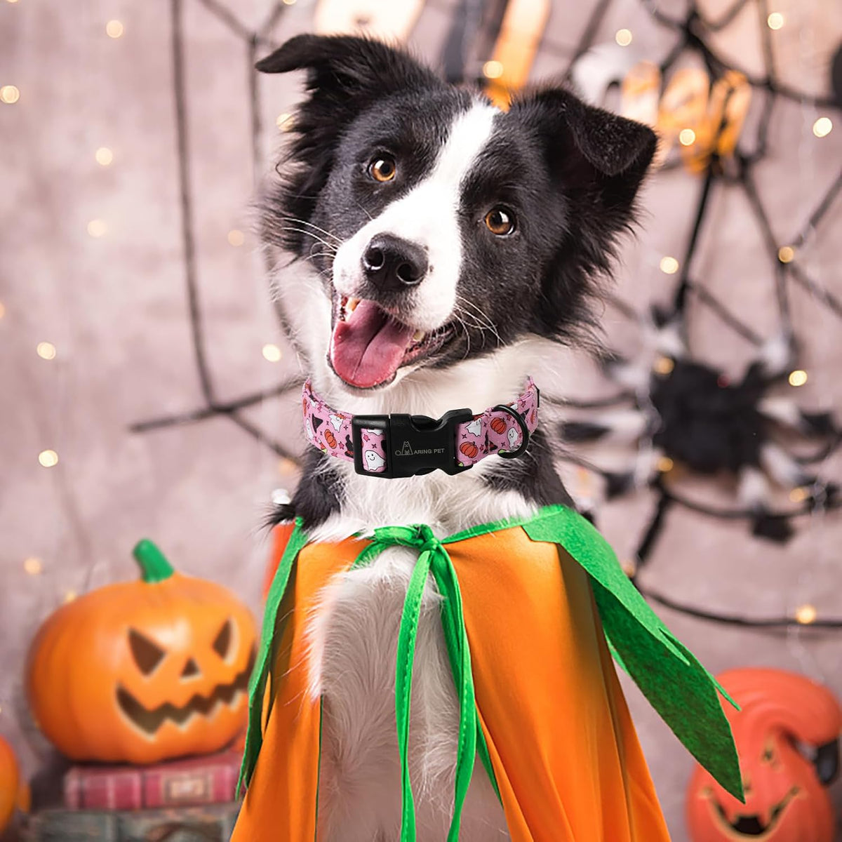ARING PET Halloween Dog Collar-Cute Fall Dog Collar for Small Dogs - X-Small / Halloween Pink Party - image 3