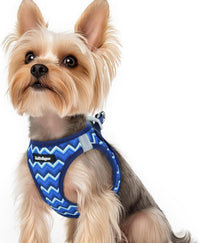 rabbitgoo Step-in Small Dog Harness - Blue Zigzag / Xs(chest:13.3"-15.5")