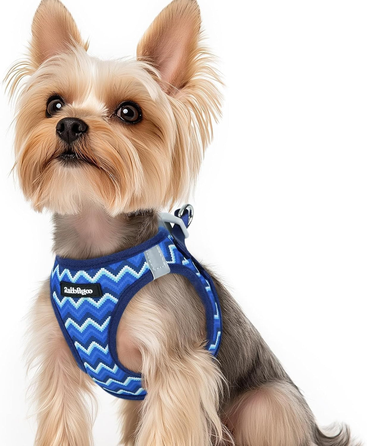 rabbitgoo Step-in Small Dog Harness - Blue Zigzag / Xs(chest:13.3"-15.5")