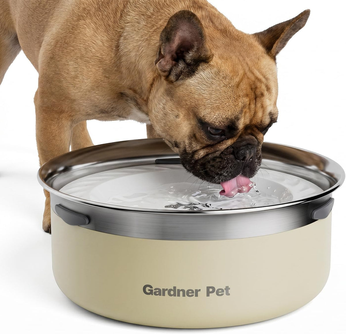 Gardner Pet Dog Bowls 1 Gallon Stainless Steel Dog Water Bowl – Essentials for Dogs - White / Small (2L)