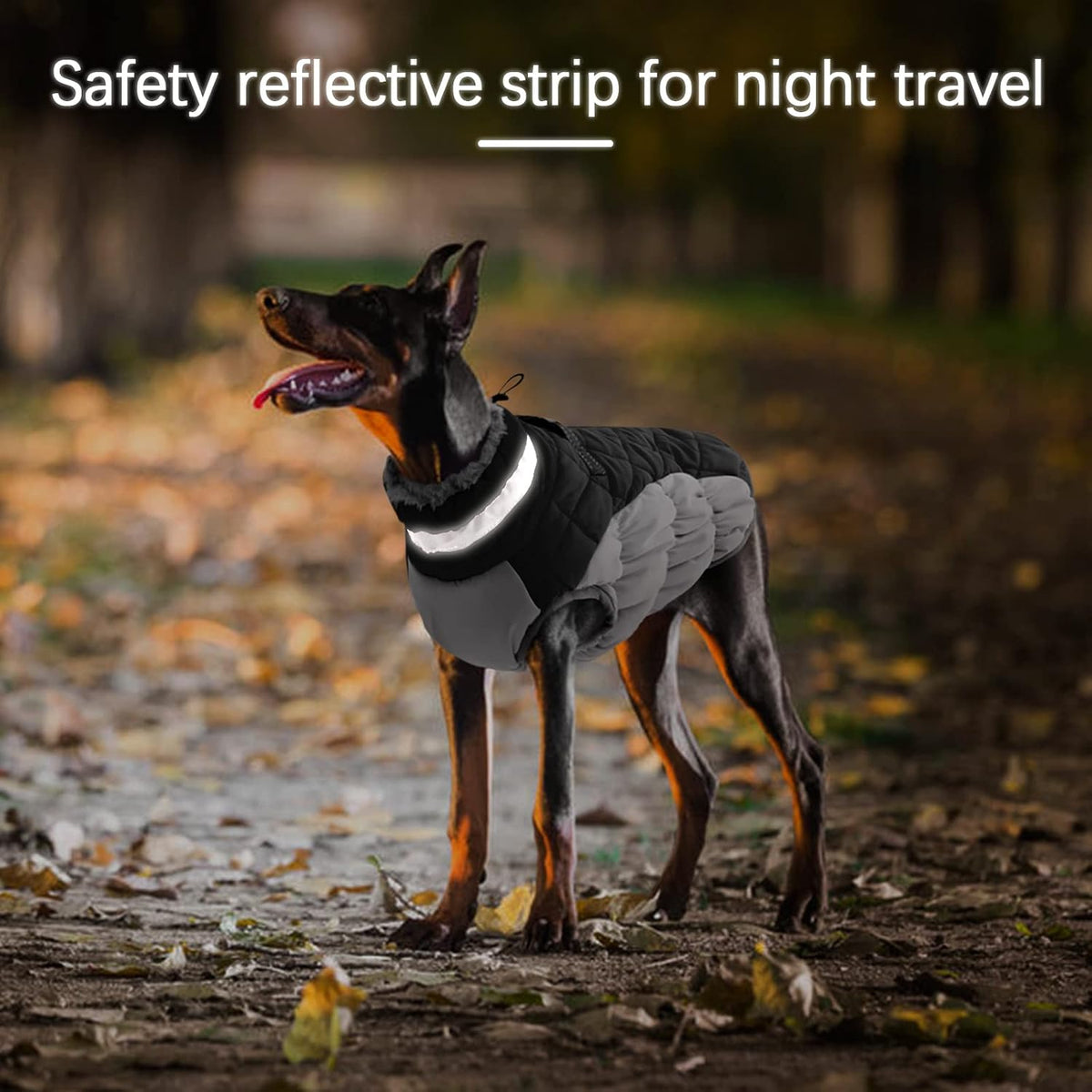 Dog Winter Jacket Cozy Reflective Waterproof Windproof Warm Pet - Small / Black - image 3