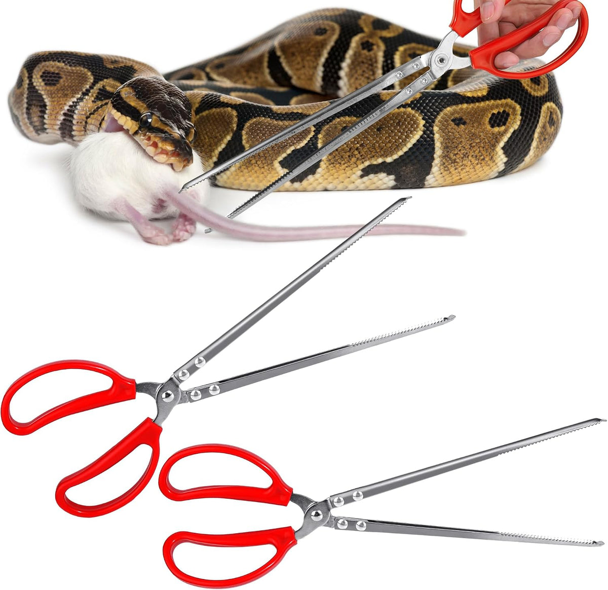 Snake Feeding Tongs,15 Inch Reptile Feeding Tongs,Extra Long Large Tweezers for Corn Ball Python - 2PCS