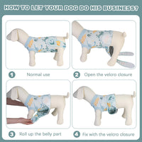 Female Dog Recovery Suit After Spay – 3 Patterns, S–2XL