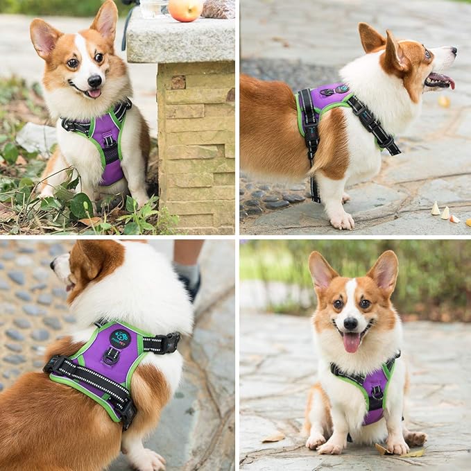 PHOEPET 2019 No Pull Dog Harness Medium Reflective Front Clip Vest with Handle,Adjustable 2 Metal Rings 3 Buckles,[Easy to Put on & Take Off](M, Purple)