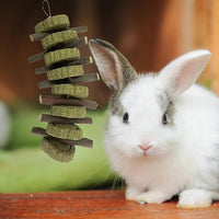 kathson Rabbit Chew Toys,Bunny Grind Teeth 100% Natural Organic Apple Wood Stick Improve Rodent Health Rabbits Hamsters Squirrel Guinea Pig(4 Pieces)