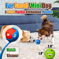 Latex Squeaky Dog Balls for Small Dogs, Mini Breed - XS/S Assorted Colors / Small - image 2