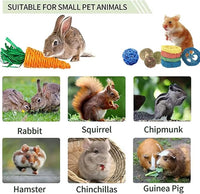 Grddaef 18 PCS Bunny Toys, Rabbit Toys Guinea Pig Toy Natural Apple Wood Grass Timothy Sticks Chew and Treat for Guinea Pigs Hamster Chinchillas