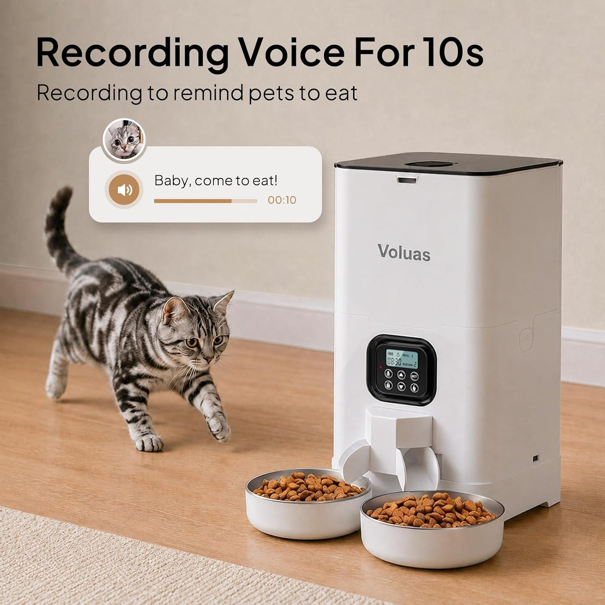 VOLUAS Automatic Cat Feeder for Two Cats with Dual Stainless Bowls - White Opaque / 6L - image 4