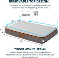 Orthopedic Memory Foam XXL Dog Bed - 6" Thick Beds for Extra Large Sized Dog - Waterproof Removable Washable Cover & Wrap-Around Zipper - Ultimate Comfort & Easy Maintenance, Light Grey