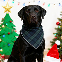 Dog Bandanas 1PC Washable Cotton Triangle Dog Scarfs for Small Medium - Small / Green Grid - image 3