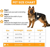 Cat Door for Wall, Energy Efficient Pet Entry Door – Essentials for Cats - Extra Large - image 4