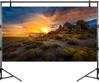 Reptile Tank Backdrop Sunset Desert Terrarium Background Saguaro - 30(W)x18(H)inches/ 75(W)*45cm(H) / Oasis Green - image 3