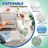 Pet Soft Dog Diapers Female, Disposable Female Dog Diaper - Green Flower / XX-Small(12Pcs) - image 2