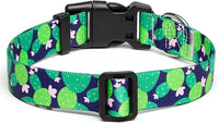 Mercano Adjustable Dog Collar - Special Design Patterns, Soft Nylon Comfortable Durable Pet Collar for Small Medium Large Dogs (M, Cactus)