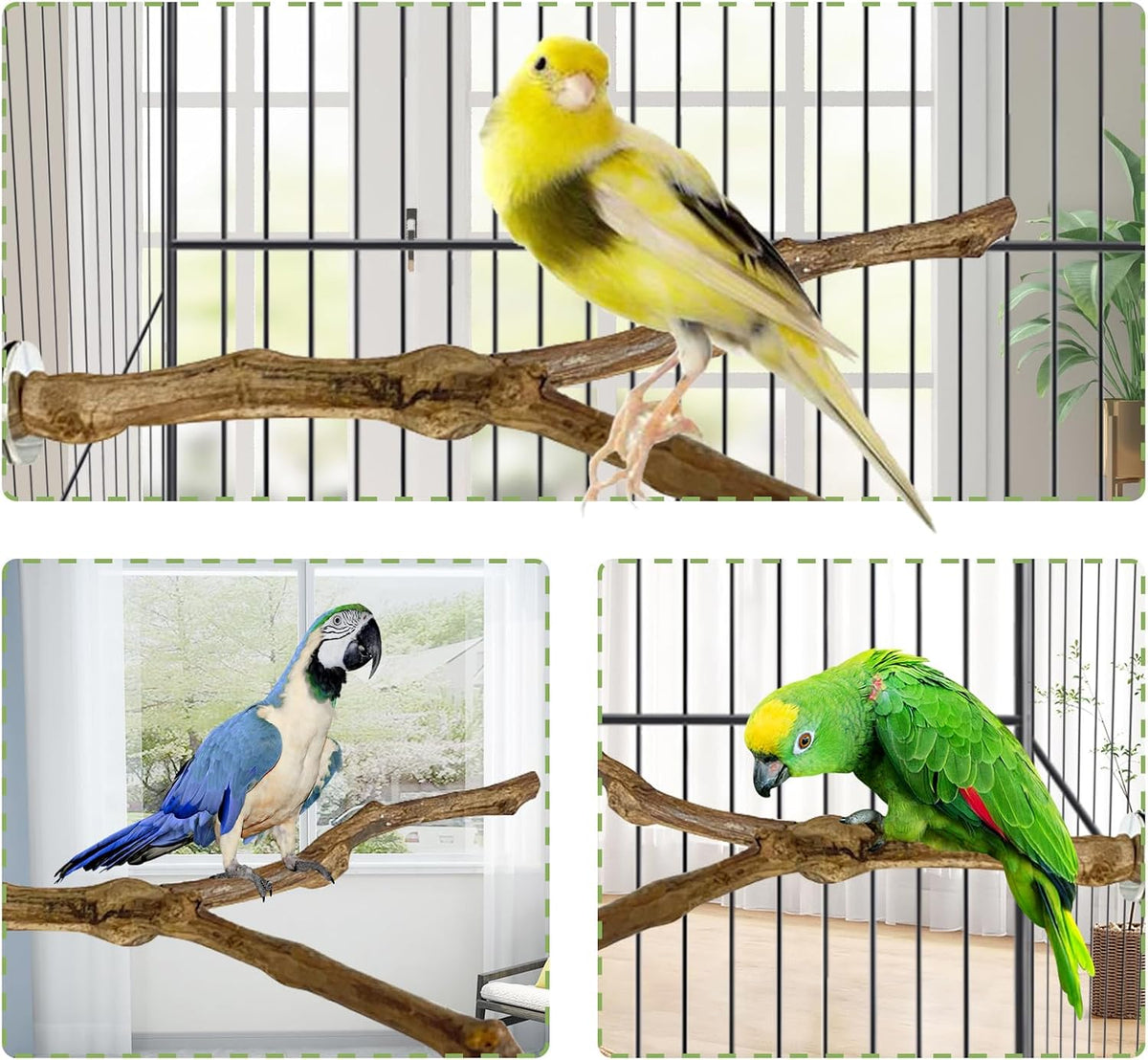 Natural Parrot Perch Bird Stand Pole Wild Grape Stick Paw Grinding - Wild Grape Stick 3 Pcs - image 3