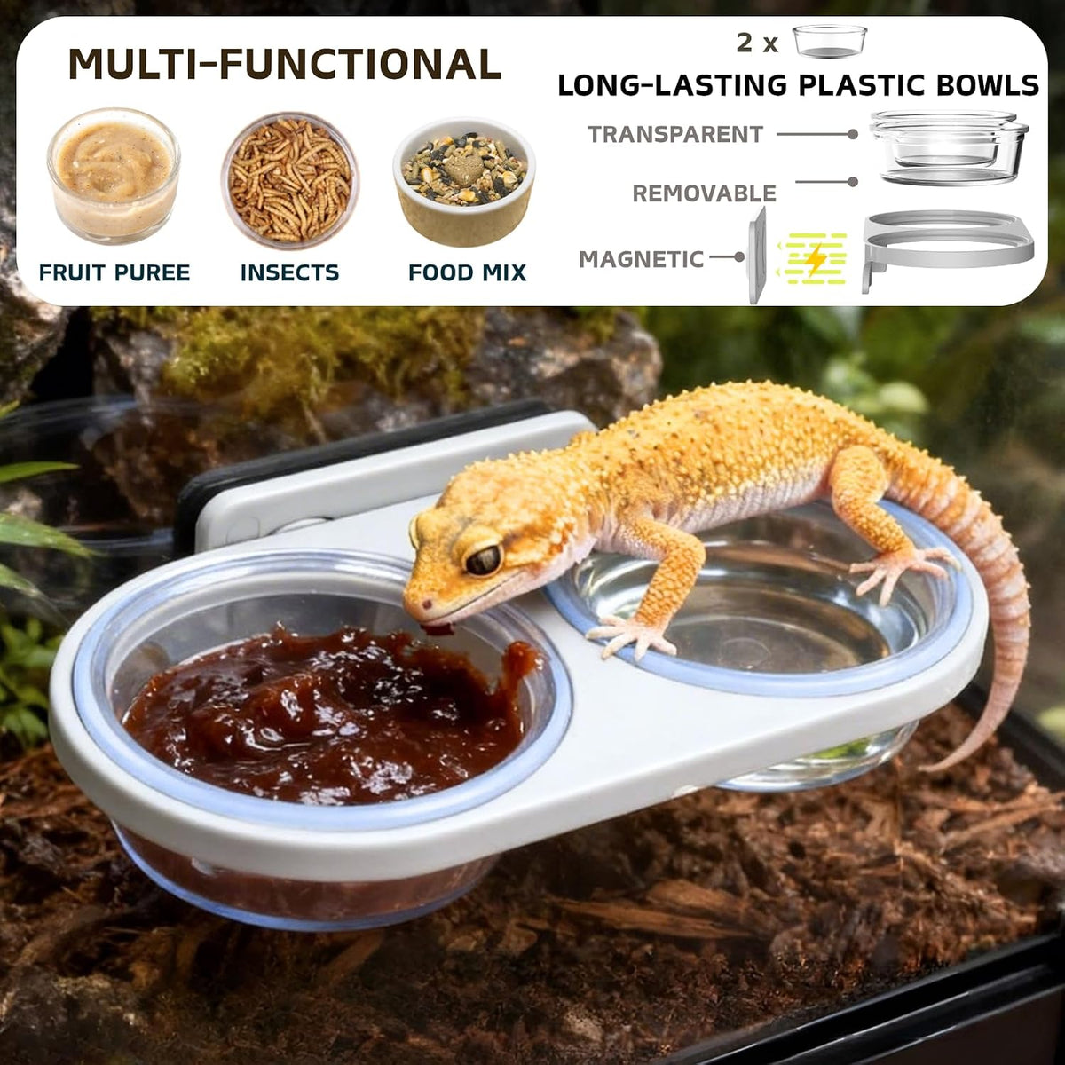 Magnetic Reptile Feeding Ledge with 2 Pack Plastic Bowls Food Feeder - Green(Pack of 2） / Magnetic-Mounted - image 3
