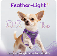 Eagloo Small Dog Harness and Leash Set - XS(Chest:13.3"-15.5") / Purple - image 4