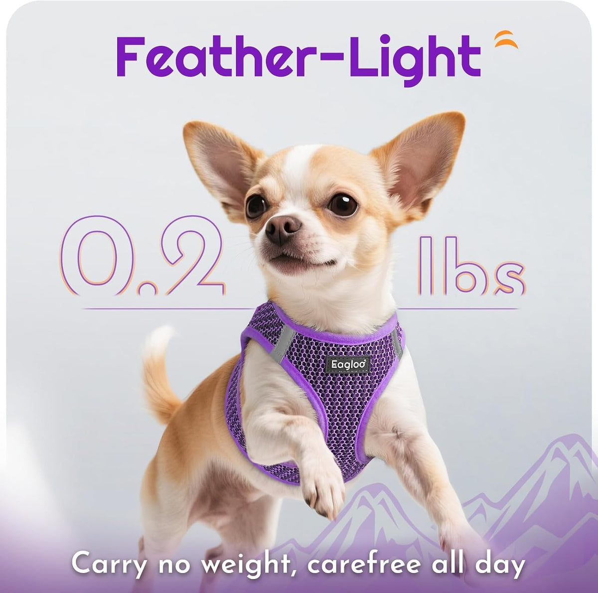 Eagloo Small Dog Harness and Leash Set - XS(Chest:13.3"-15.5") / Purple - image 4
