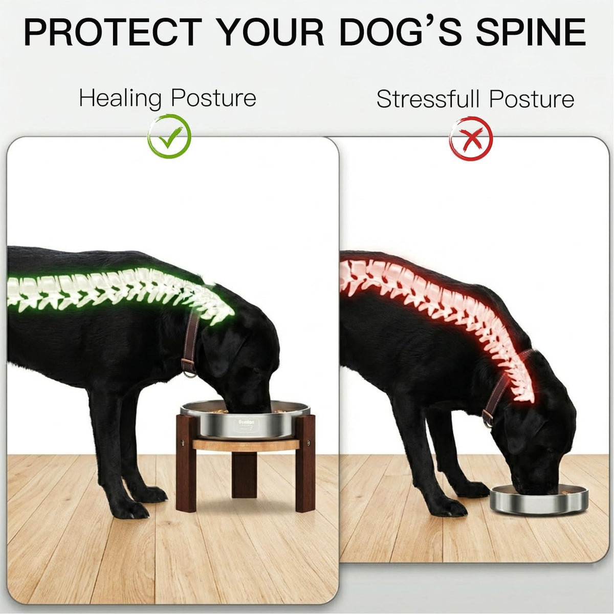 Feedoo Elevated Dog Bowl Stand - 4" Height 1-Cup Slow Feeder - image 4