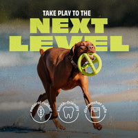 Benebone Natural Rubber Tug Interactive Dog Toy – Essentials for Dogs - Tug Ball / One Size - image 4
