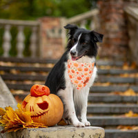 PTDECOR Halloween Dog Bandana, Ghost Pumpkin Dog Scarf - Large / Yellow&Orange - image 3
