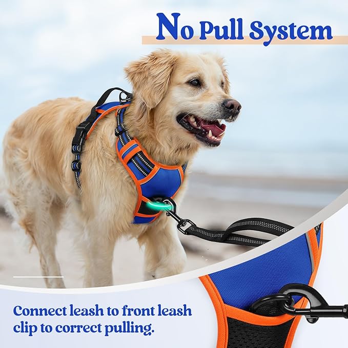 rabbitgoo Dog Harness No Pull with 2 Leash Clips, Adjustable Soft Padded, Reflective Oxford No Choke Pet Vest with Easy Control Handle for Small Dogs, Blue & Orange, S