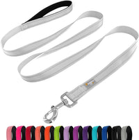 6 FT Basic Dog Leash for Medium Dogs - Refl Silver / Medium : 3/4" x 6 FT