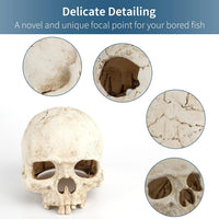 Uniclife Aquarium Imitative Rainbow Sea Urchin Ball Artificial - Skull Reptile House - image 4