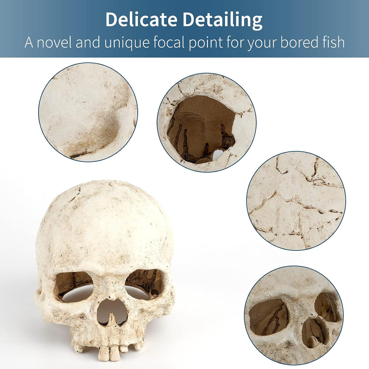 Uniclife Aquarium Imitative Rainbow Sea Urchin Ball Artificial - Skull Reptile House - image 4