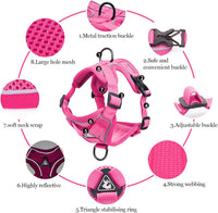 Wanheart cat Chest Harness and Leash - rose red / XL:16.5-22.04lb - image 3