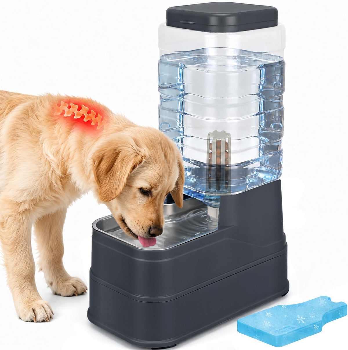 1.1 Gallon Pet Automatic Dog Water Dispenser Cat Gravity Waterer - Charcoal Gray / 8L(2.2 Gallon)