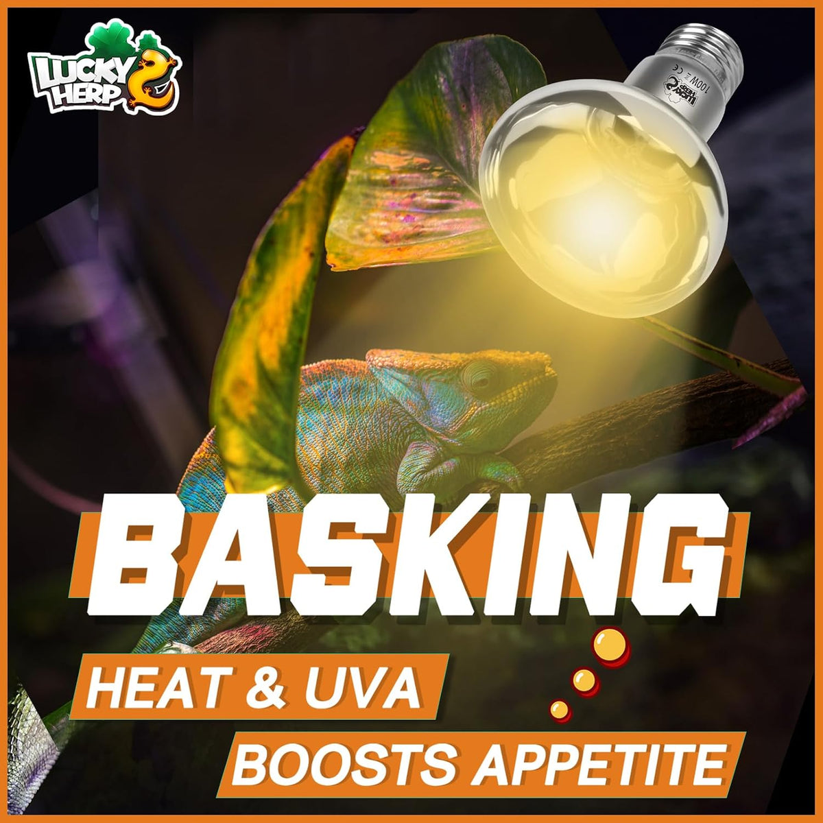 LUCKY HERP Heat Lamp Bulbs, 150W Reptile Heat Lamp 2 Pack - Clear Reptile Heat Lamp / 100W 1-Pack - image 3