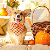 Abbylike 50 Pcs Fall Plaid Dog Bandanas Bulk Autumn Bandanas for Dogs Triangle Kerchief Bibs Scarf for Small Medium Large Pets Thanksgiving Costume Accessories, 25 Styles (25.6 x 17.7 x 17.7 Inch)