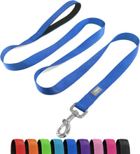 6 FT Basic Dog Leash for Medium Dogs - Blue / Large : 1" x 6 FT